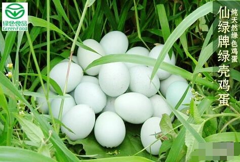 河横绿壳鸡蛋